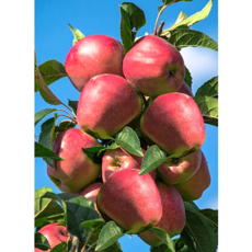 잠실롯데아쿠아리움할인