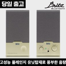 브리츠br1000a