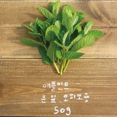 유기농 애플민트 생잎 큰 잎 50g/모히또용, 1봉
