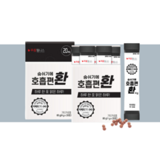 푸름웰니스 숨쉬기에 호흡편환 4g, 4박스, 20포