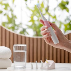 닥터플란트 음파전동칫솔 3가지 관리 세트, 핑크, 1개