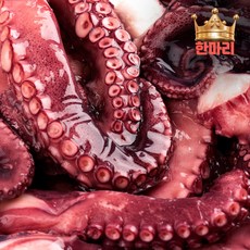 한마리 문어 대왕 사이즈 새벽에 잡은 통영 돌문어 산지직송, 1개, 1.5kg (한마리)