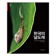 날도래