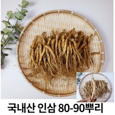 인삼포장이끼