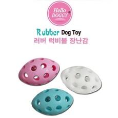 말티즈미니어처