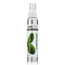 이든바디웍스 올 내추럴 헤어 오일, 118.3ml, Peppermint Tea Tree, 1개