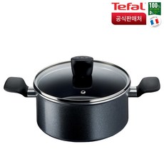 테팔크리스탈티타늄