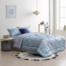 [세사온라인] 플래닛 기능성 차렵베개세트 SS