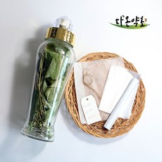 삼지구엽초주