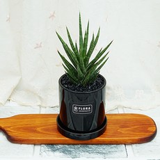 dce93e9e6aee8b517646c6b0970990198b594cd9afb1797b67389cc0262c.jpg