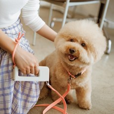  강아지 리드줄 소형견 중형견 멀티 핸즈프리 웜그레이 