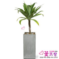 2ae5f9b971078afbac009ebaa427505dd02d65f9558ccfb436f29d5ecf03.jpg