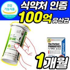 비엔백