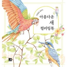 색연필로 칠하는 아름다운 새 컬러링북, 밥북, 김선아