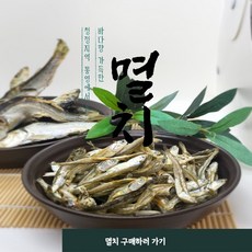 청어새끼