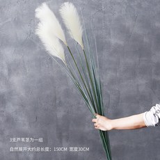 대형꽃다발 말린 프리저브드 드라이 플라워 재료 밍크뮬리 갈대 조화, 옵션3