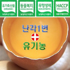 아침에계란