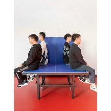 접이식 탁구대 이동식 탁구 다이 테이블 표준크기 홈 운동 스포츠 선수