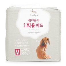 몰리스펫샵먼치껌