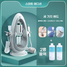 블랙헤드 흡입기 소형 미용기 전동 클리너 가정용, 2.10세대/3헤드+용액2병