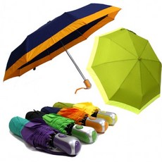 아놀드바시니우산