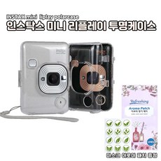 리플레이케이스