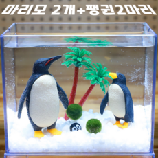 (유성플랜트디자인) 펭귄 국산 마리모세트 고급 마리모가 2개