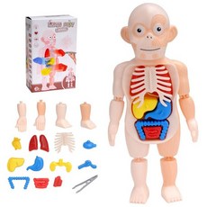 몬테소리3d퍼즐