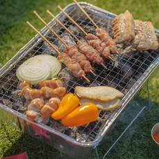 일회용바베큐화로 석쇠 그릴 세트 가정용 미니 불멍 캠핑 숯불화로, 1개