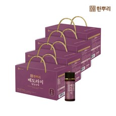 CJ 웰케어 한뿌리 배도라지 달임진액 100ml10병 x 4개