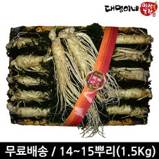 금산수삼 수삼선물세트(14~15뿌리 1.5kg), 1세트, 수삼선물세트 14~15뿌리(1.5kg)