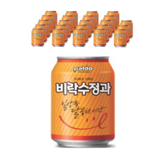 비락수정과 238ml, 18개