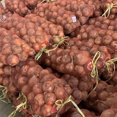 양파20kg