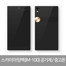 스카이폴더폰