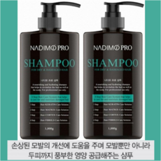 나디모 두피 지루성 미용실 샴푸, 1000g, 2개