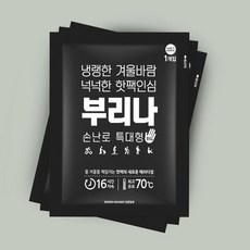국산 부리나 특대형 대용량 군용 포켓형 핫팩 30매 _ 231159EA, 1, 본상품선택