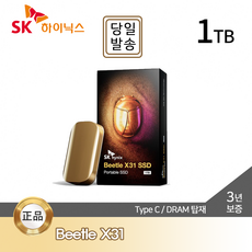 SK하이닉스 BEETLE 외장 SSD X31 1TB DRAM 탑재 / 젤리 케이스, 골드