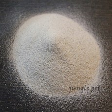 파충류 사막모래 1kg, 1개