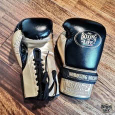 노복싱노라이프