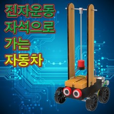 [리더엠]_사이언스업 브레드보드 진자 운동 자동차+ldm_js, ★본상품l선택*