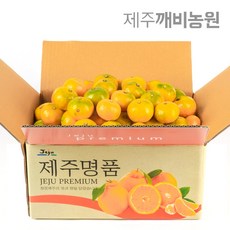 //상품명