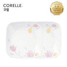 코렐세카스팀토스터