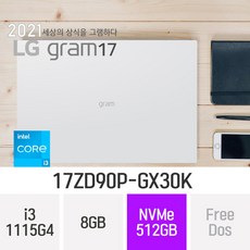 LG 2021 그램17 17ZD90P-GX30K [한컴 오피스 증정], 512GB, 윈도우 미포함, 8GB