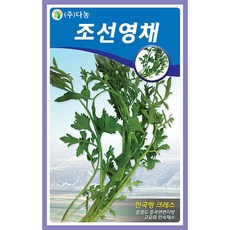영채김치