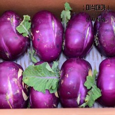 제주 햇 콜라비 프리미엄 사이즈 600-800g x 8개, 600g