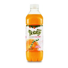 ★아이스박스★보타니 오렌지 주스 1L, 단일상품