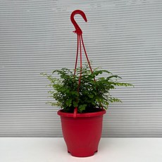 fc0d11a2d315e054f5d0234529774ce6e04da71545b595e97c8db1674d97.jpg