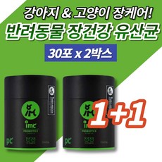  강아지 고양이 장케어 유산균 반려견 반려묘 변비 차전자피 영양제 스틱 가루 파우더 분말 반려견 반려묘 애견 개 길냥이, 2박스 