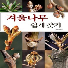 겨울나무쉽게찾기(전면개정판)