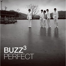 버즈(Buzz) - 3집 퍼펙트 [Perfect] (LP) Remastered By Yejeon(22년)